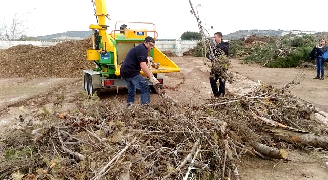 1.-GESTIÓN DE BIOMASA